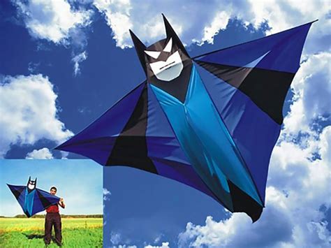 kite for adults|kites for adults near me.